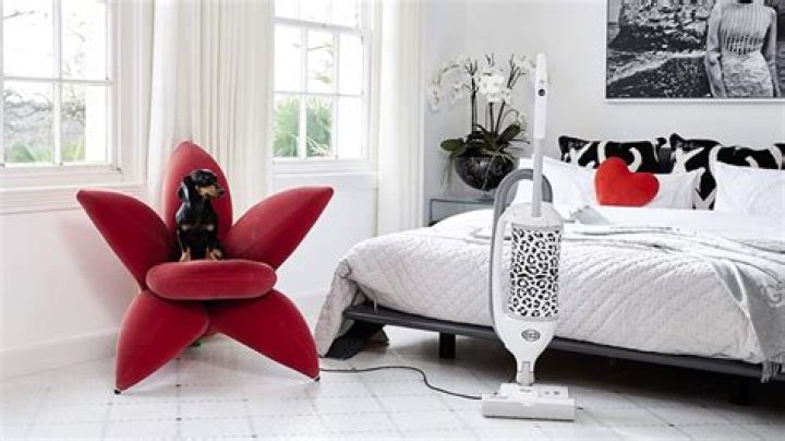 Sebo Felix Wild e Power - should I buy one?